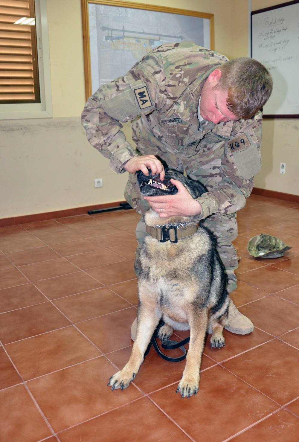 Camp, CJTF-HOA team for military working dog care under fire