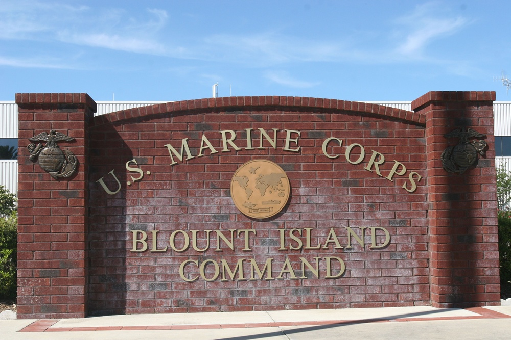 Joint Ops: Marines and sailors collaborate to accomplish mission