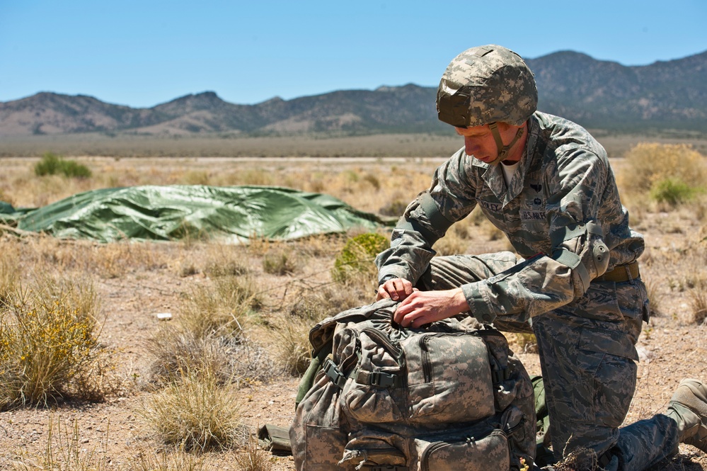 Joint Force Entry Exercise