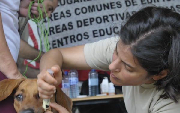 A person in military/camouflage uniform is administering a medical treatment or vaccination to a brown dog, likely at a veterinary outreach event. A second person in maroon scrubs is assisting by holding the dog steady. The setting appears to be an outdoor or semi-outdoor medical station, with Spanish-language signage visible in the background.