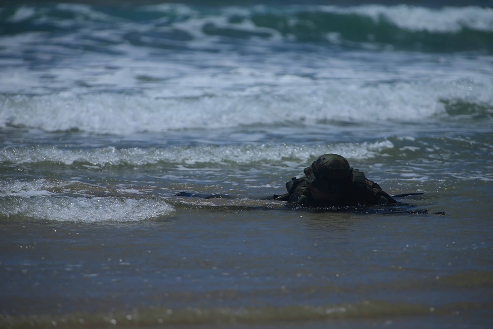 11th MEU works with Japanese Self Defense Force during Exercise Dawn Blitz