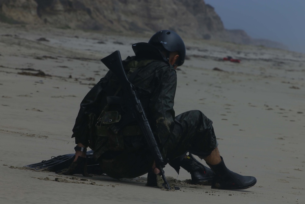 11th MEU works with Japanese Self Defense Force during Exercise Dawn Blitz