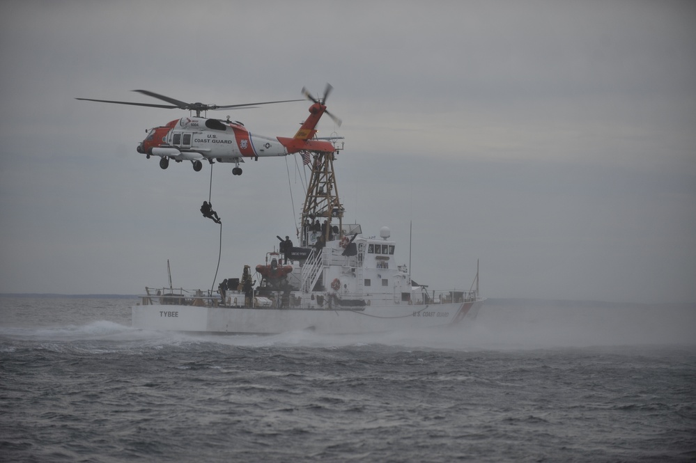 Coast Guard practices vertical insertion