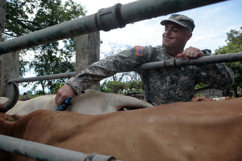Joint Task Force Jaguar veterinarians administer vaccines