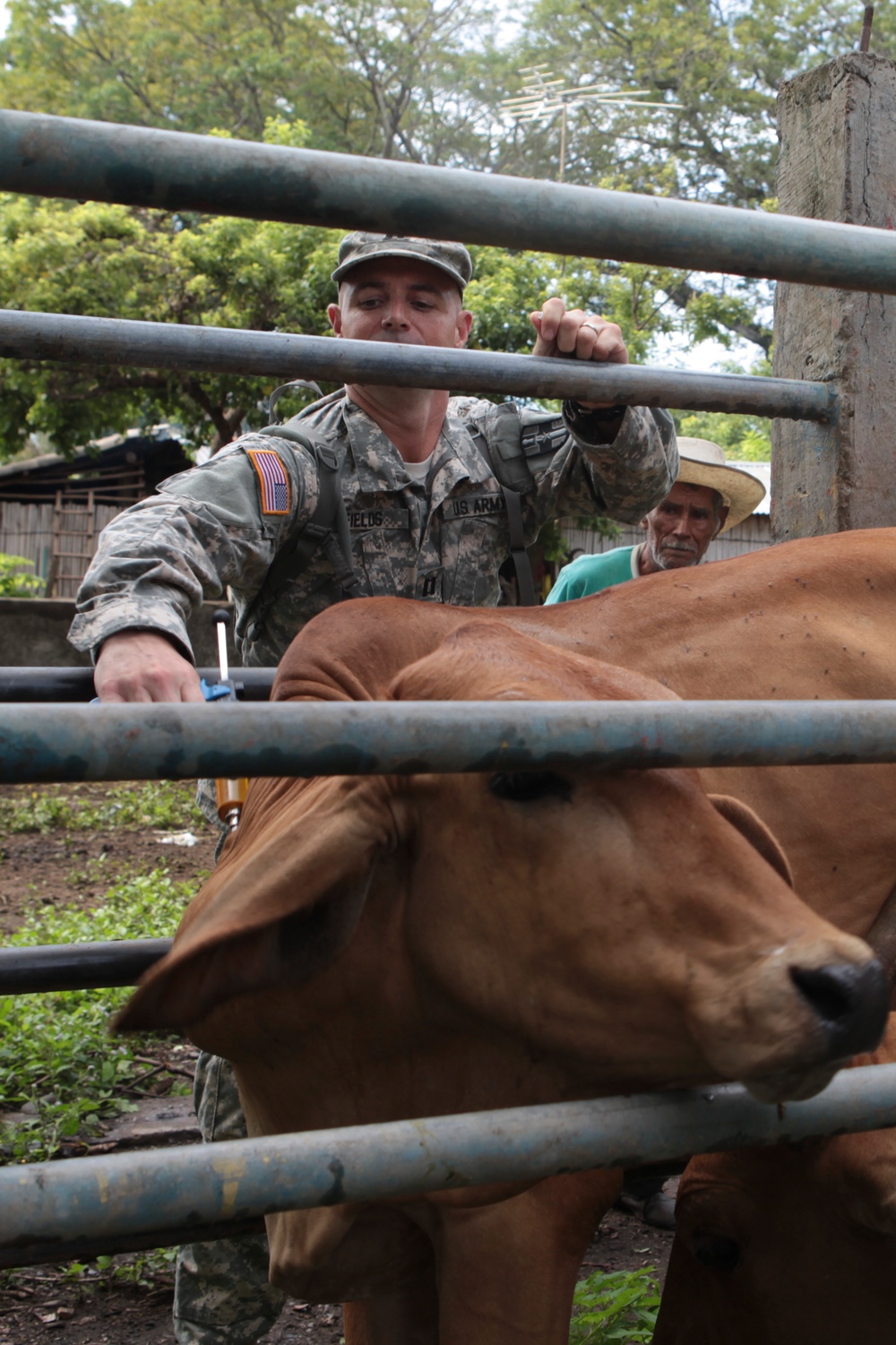 Joint Task Force Jaguar veterinarians administer vaccines