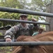 Joint Task Force Jaguar veterinarians administer vaccines