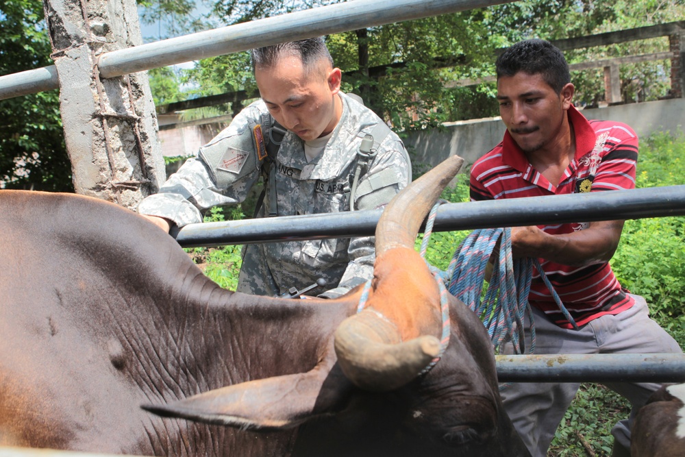 Joint Task Force Jaguar veterinarians administer vaccines