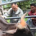 Joint Task Force Jaguar veterinarians administer vaccines