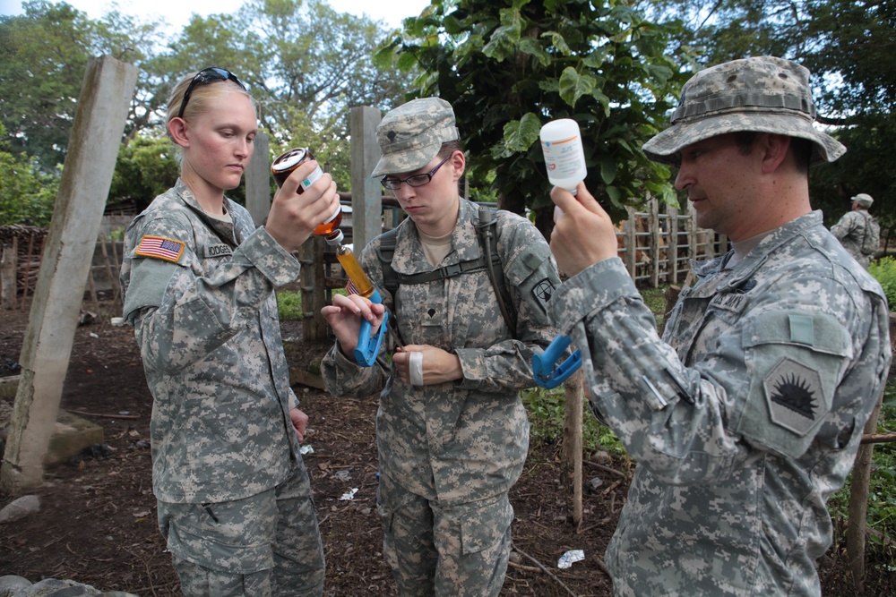 Joint Task Force Jaguar veterinarians administer vaccines