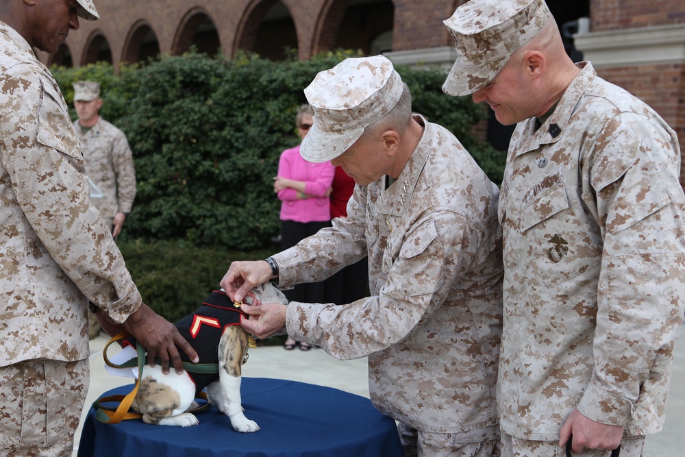 Sergeant major of the Marine Corps