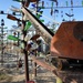 When liberty calls: local bottle tree ranch makes for good sightseeing and photos