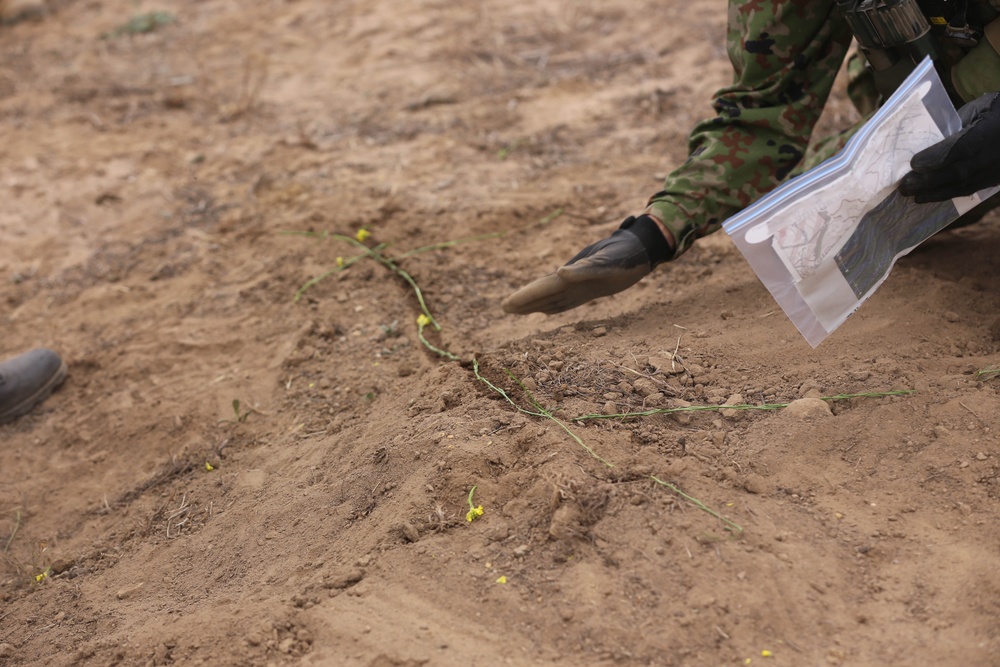 Japanese Ground Self-Defense Force participates in patrolling exercise on Camp Pendleton