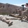 Marine scout snipers shoot alongside New Zealand, Canadian snipers