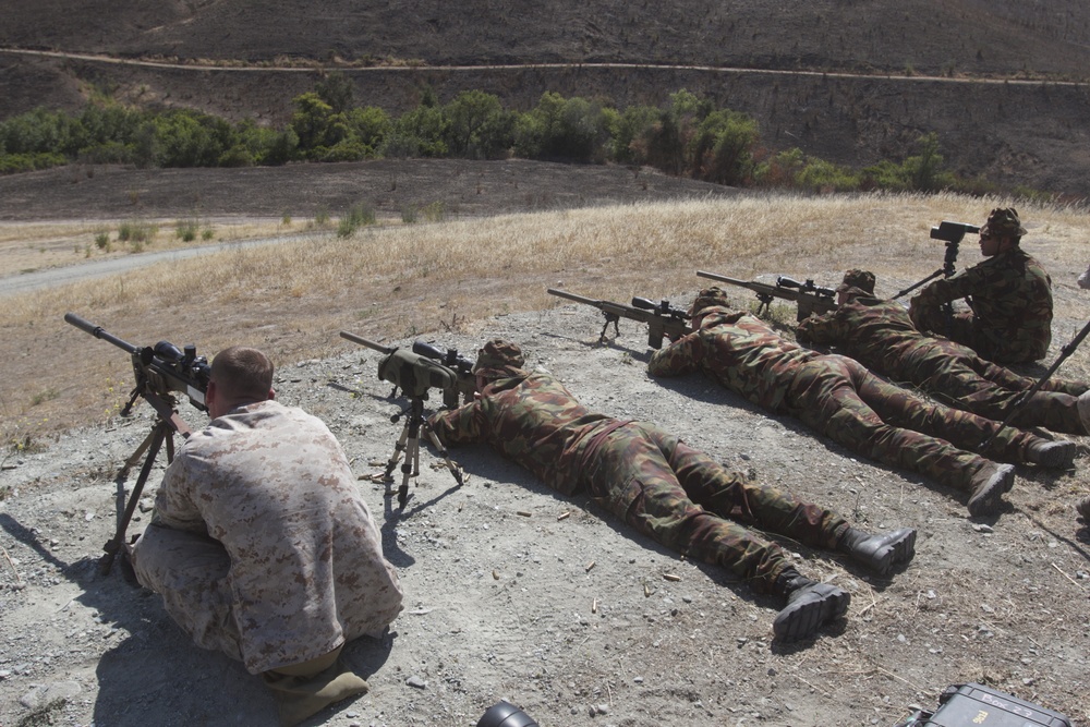 Marine scout snipers shoot alongside New Zealand, Canadian snipers
