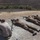 Marine scout snipers shoot alongside New Zealand, Canadian snipers