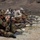 Marine scout snipers shoot alongside New Zealand, Canadian snipers