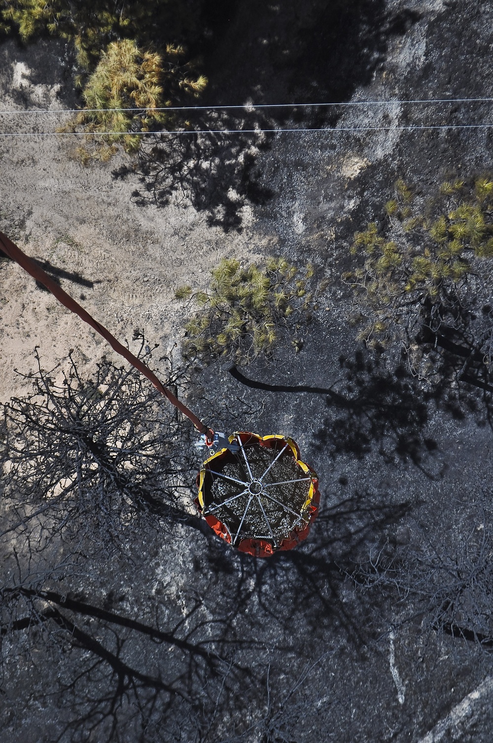 Black Forest wildfire