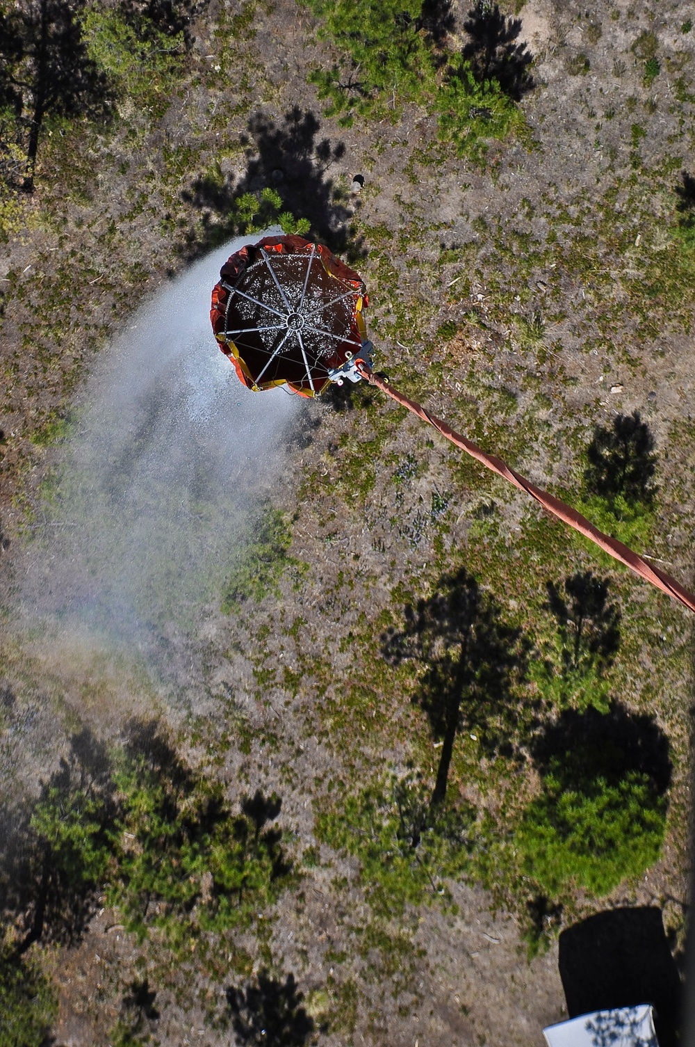 Black Forest wildfire