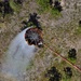 Black Forest wildfire