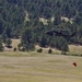 Black Forest wildfire