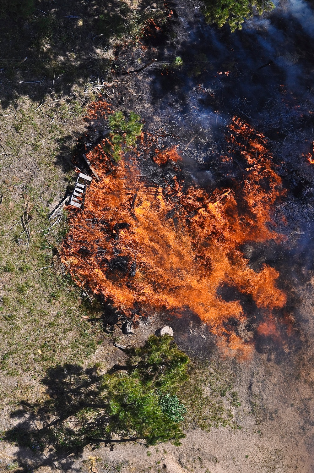 Black Forest wildfire