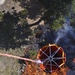 Black Forest wildfire
