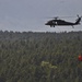 Black Forest wildfire