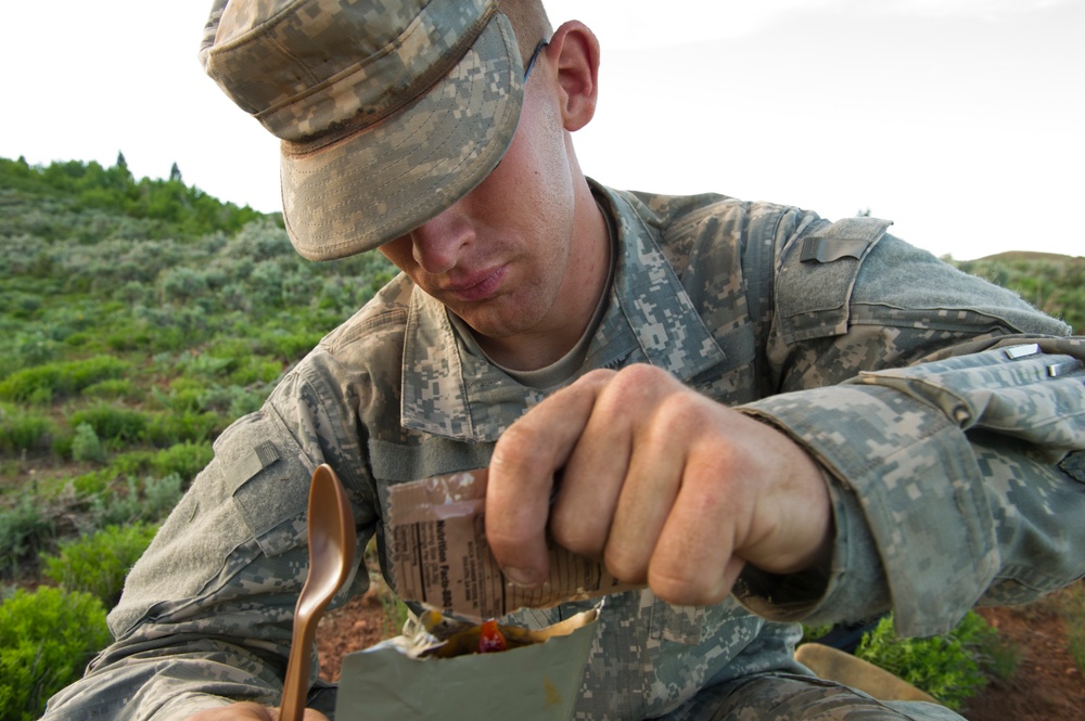 Utah National Guard Annual Training