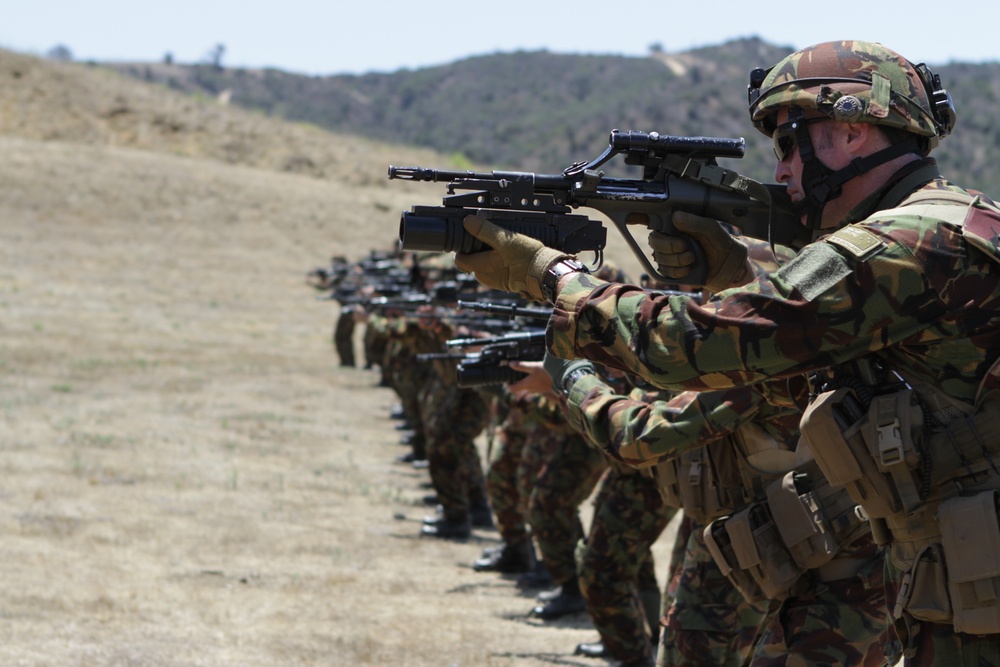 Marines give New Zealanders house-to-house combat training