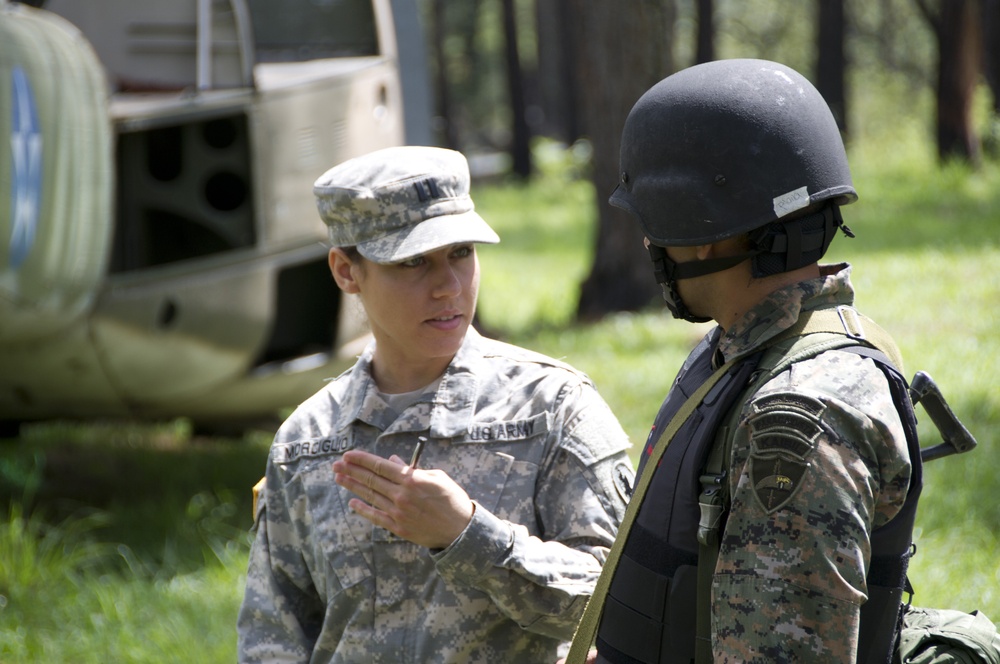 Inter-Agency Task Force Tecun Uman, Guatemala