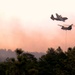 Black Forest fire