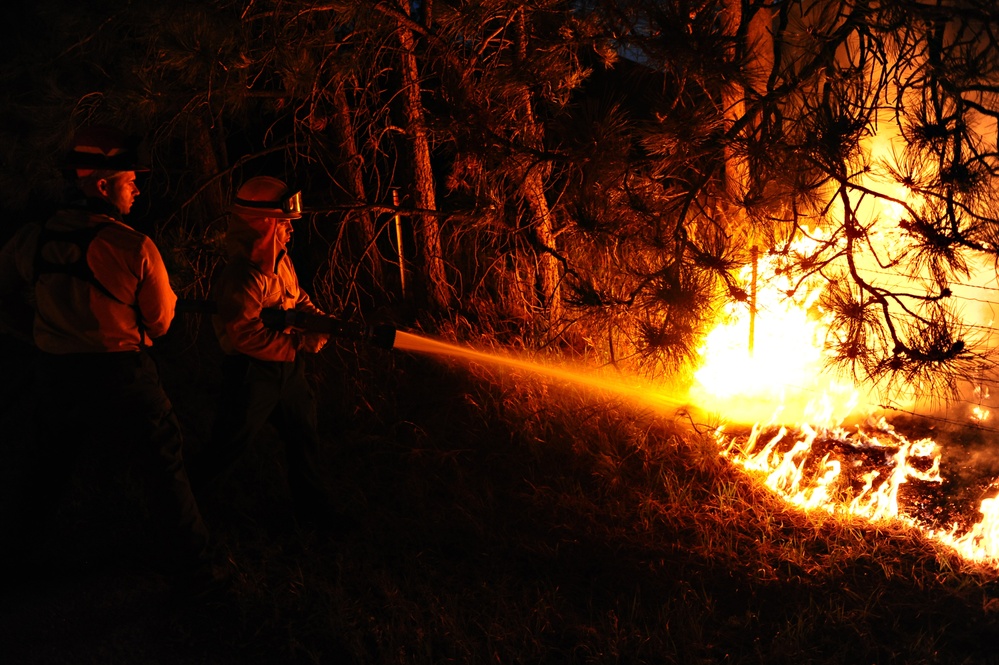 Black Forest fire