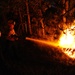 Black Forest fire