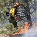 Black Forest fire