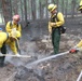 Black Forest fire