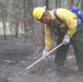 Black Forest fire