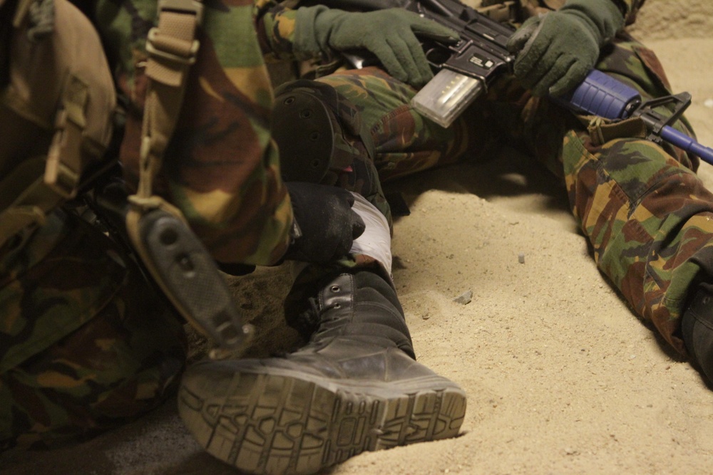 Infantry immersion trainer provides New Zealander’s realistic training scenarios