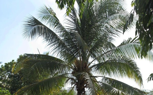 Ribbon cutting at new schools