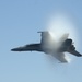 F/A-18F Super Hornet