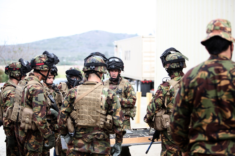 Dawn Blitz 2013 Infantry Immersion Trainer