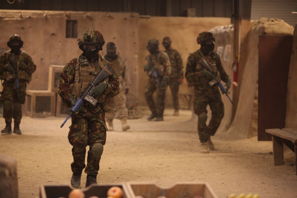 Dawn Blitz 2013 Infantry Immersion Trainer
