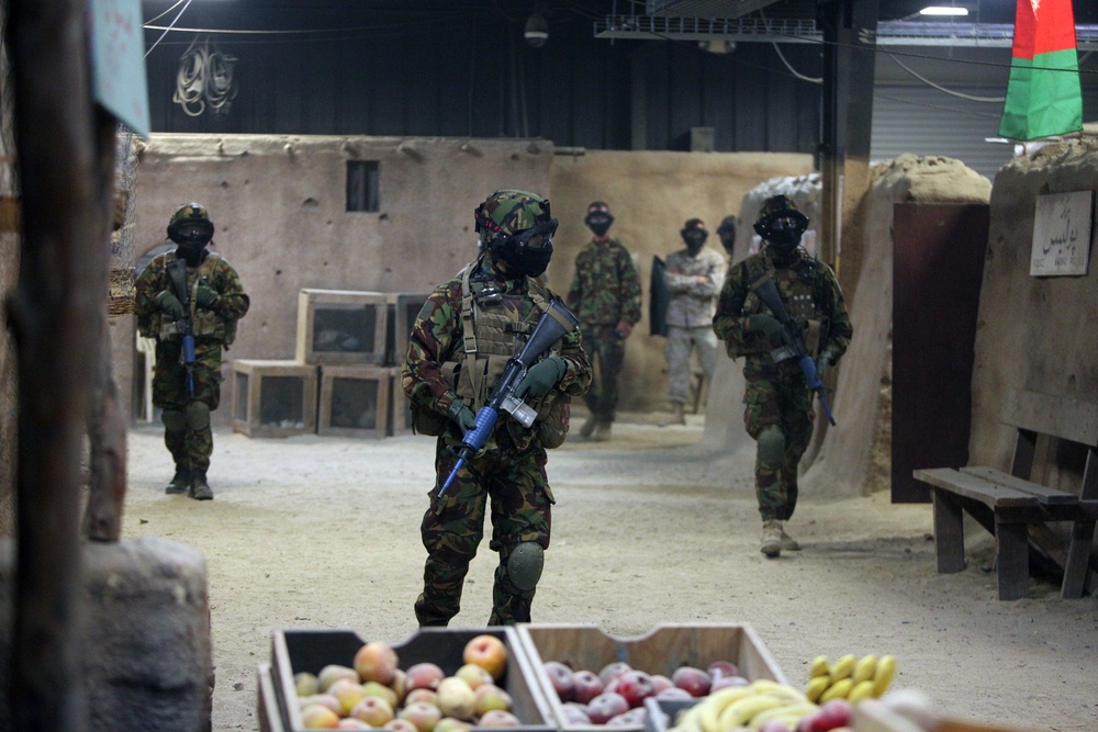 Dawn Blitz 2013 Infantry Immersion Trainer