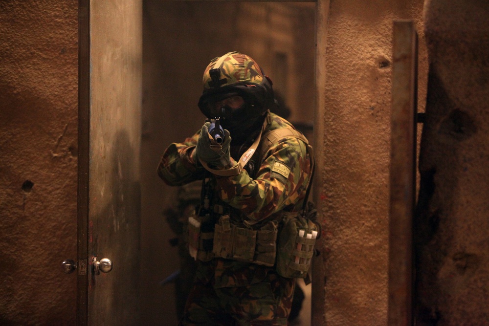Dawn Blitz 2013 Infantry Immersion Trainer