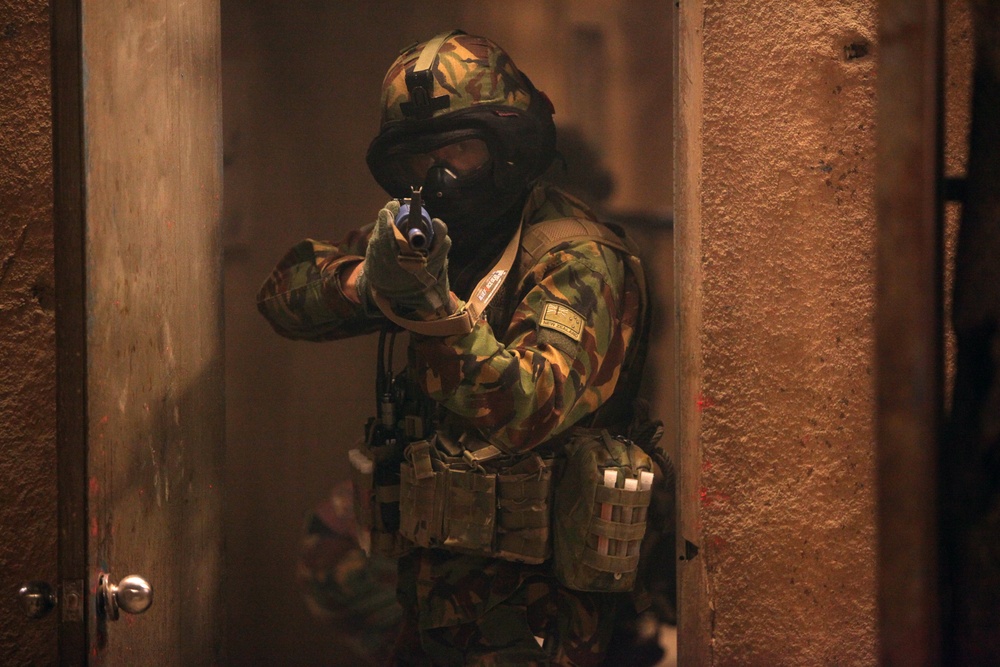 Dawn Blitz 2013 Infantry Immersion Trainer