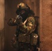 Dawn Blitz 2013 Infantry Immersion Trainer