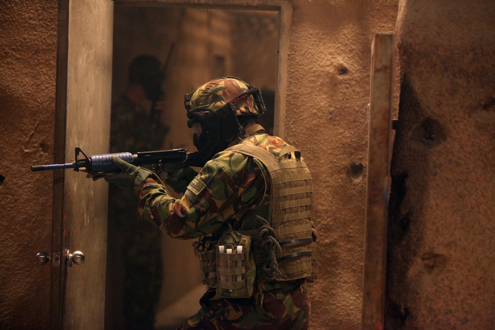 Dawn Blitz 2013 Infantry Immersion Trainer