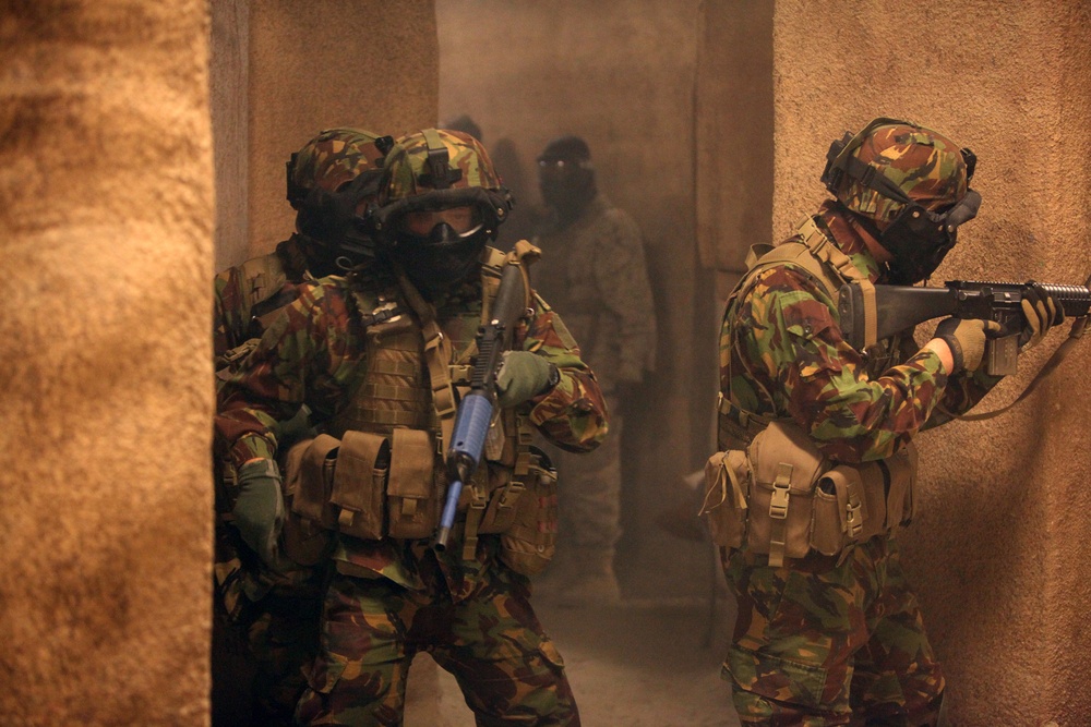 Dawn Blitz 2013 Infantry Immersion Trainer