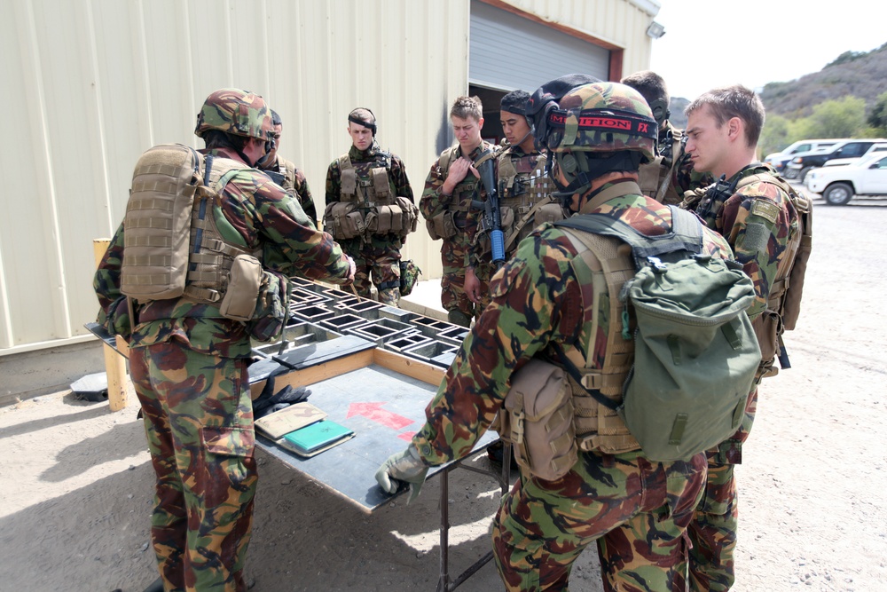 Dawn Blitz 2013 Infantry Immersion Trainer