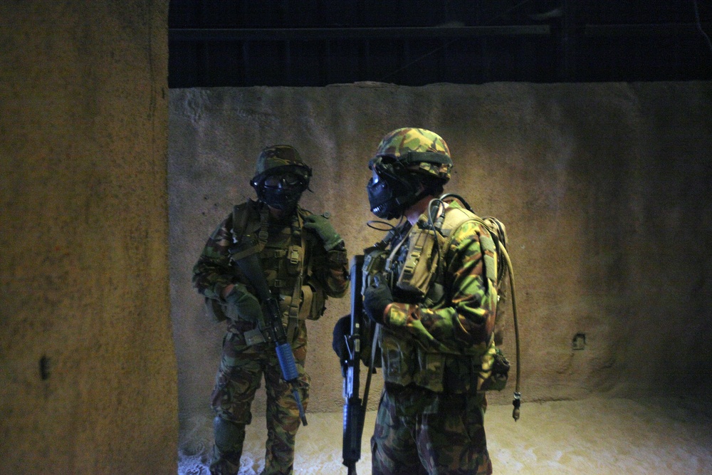 Dawn Blitz 2013 Infantry Immersion Trainer