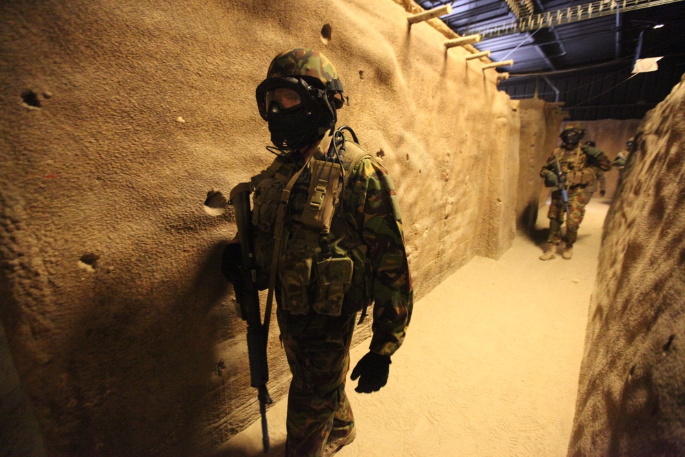 Dawn Blitz 2013 Infantry Immersion Trainer